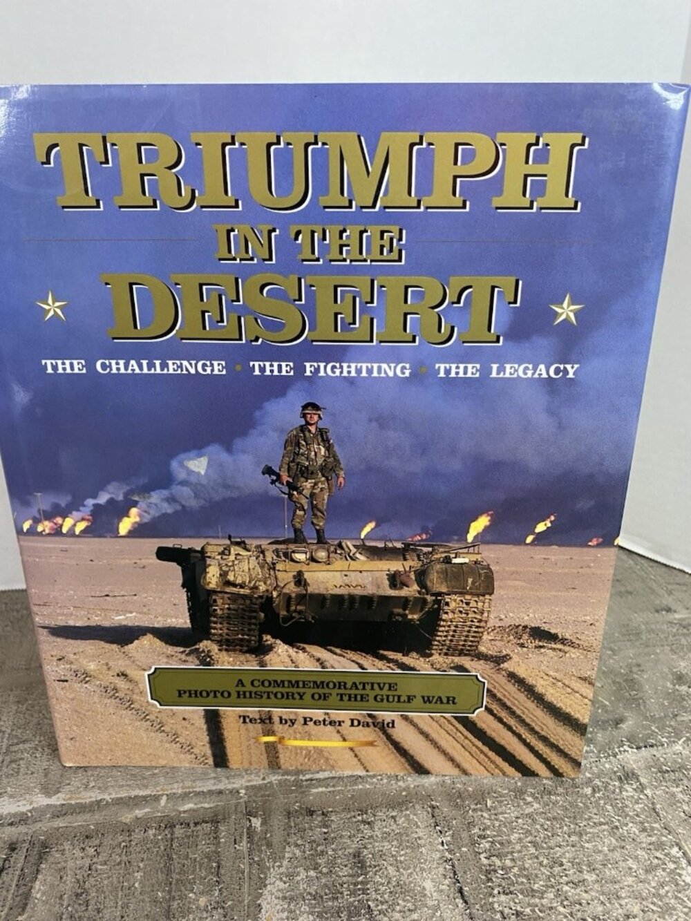 Triumph in the Desert : The Challenge, the Fighting, the Legacy D